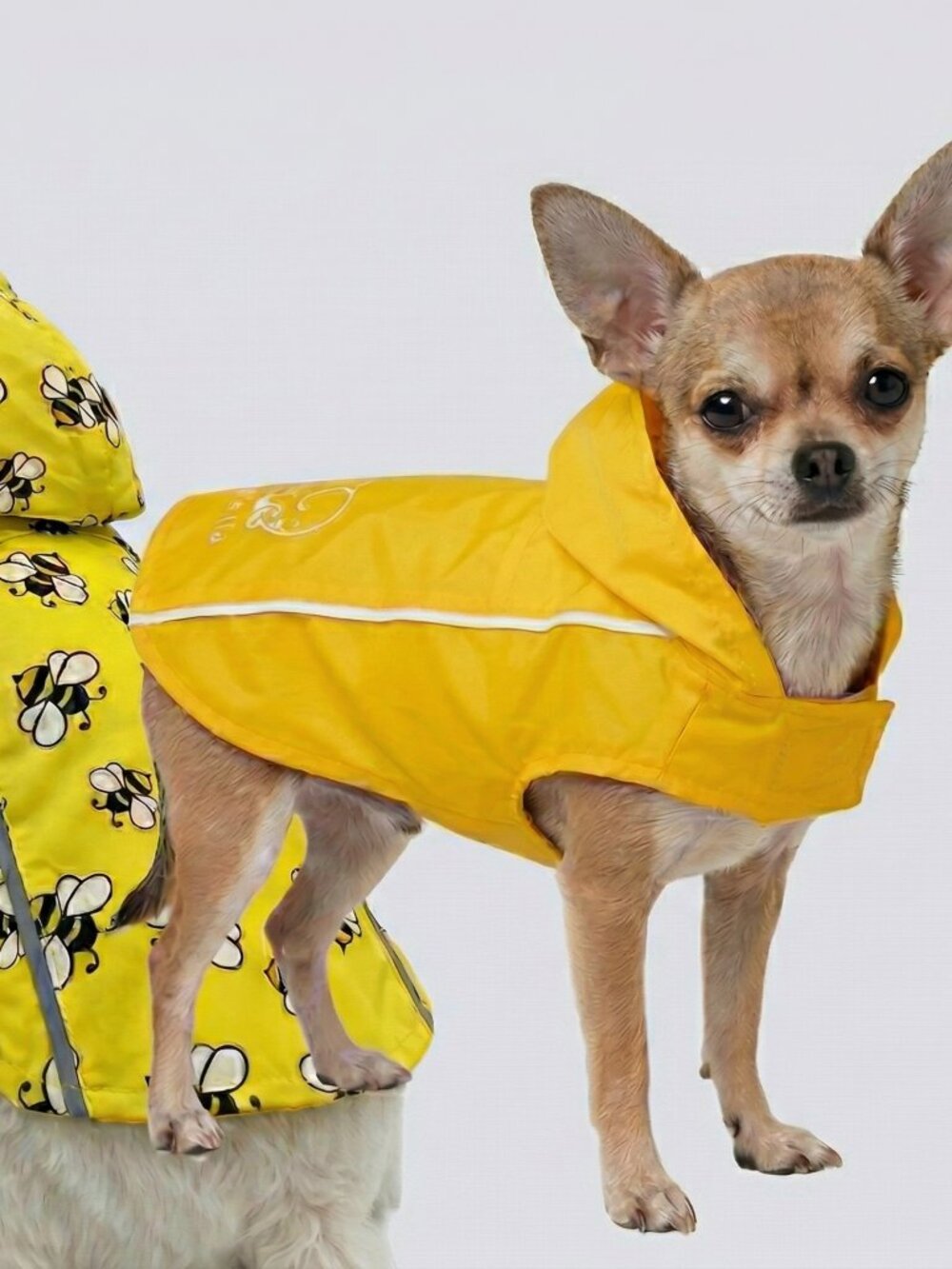IE Hoodless Raincoat - Yellow